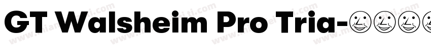 GT Walsheim Pro Tria字体转换